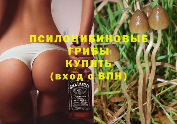 а пвп мука Алзамай