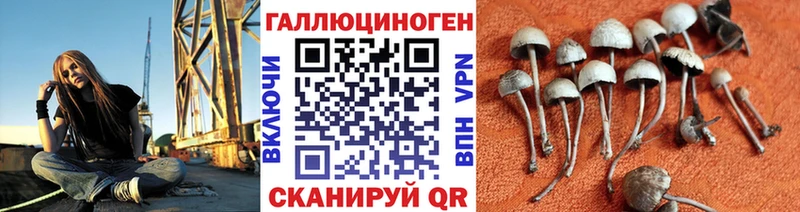 Галлюциногенные грибы Magic Shrooms  Чаплыгин 
